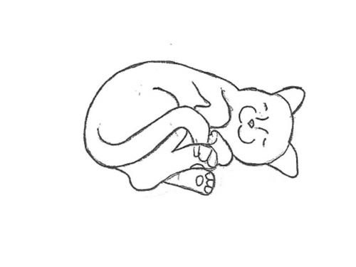 Curled Cat - 10"