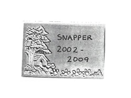 Custom Snapper Memory Stone