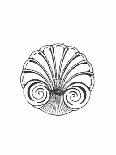Seashell Bowl - 20" diameter