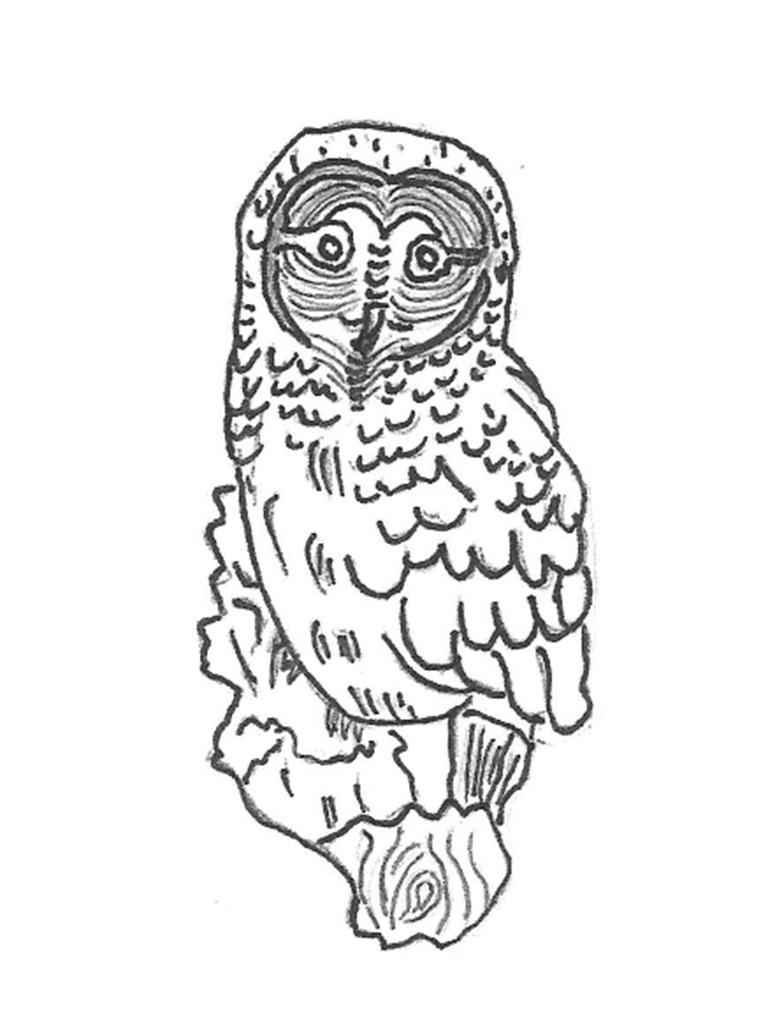 Snowy Owl - 20" high