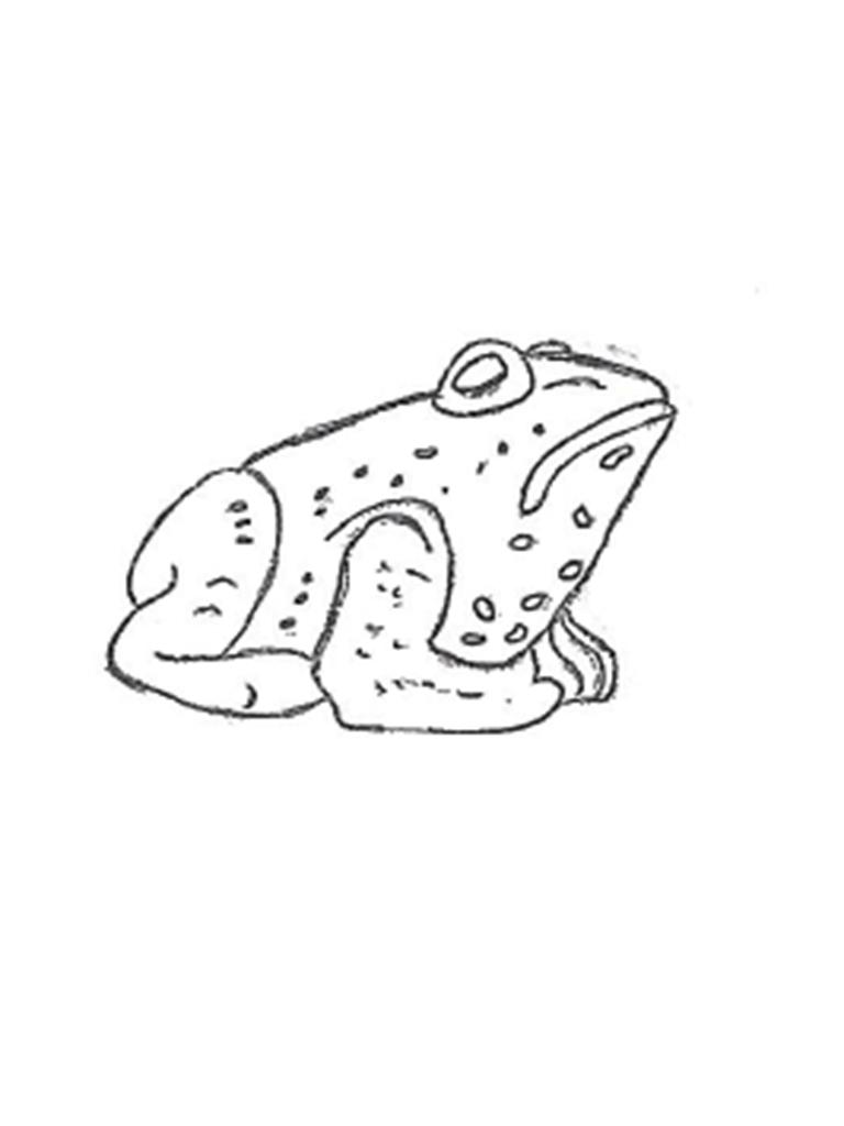 Frog - mini, 3", bug-eyed