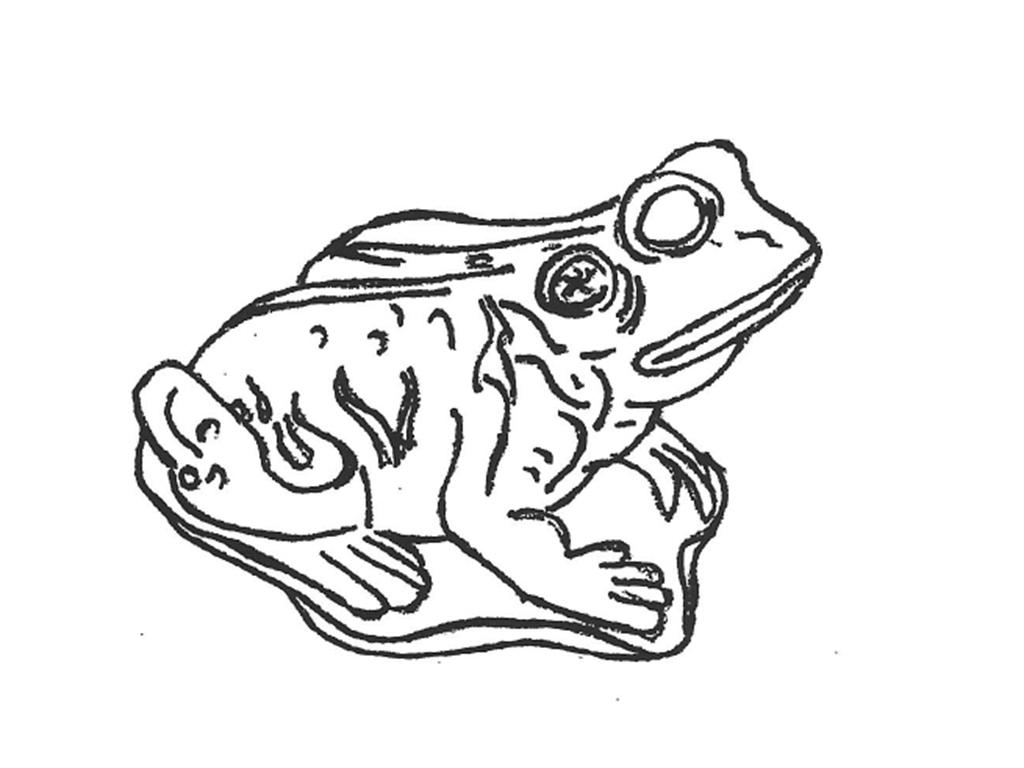 Frog - 20"