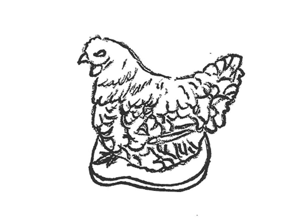 Chicken - 9"